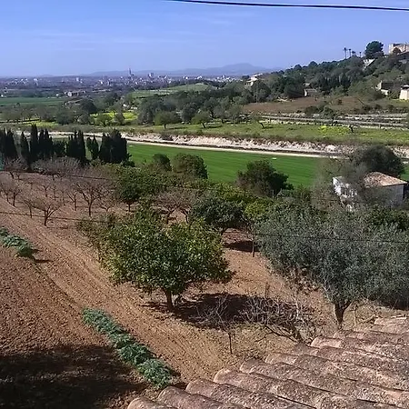 Houpla Sol * Manacor (Mallorca)