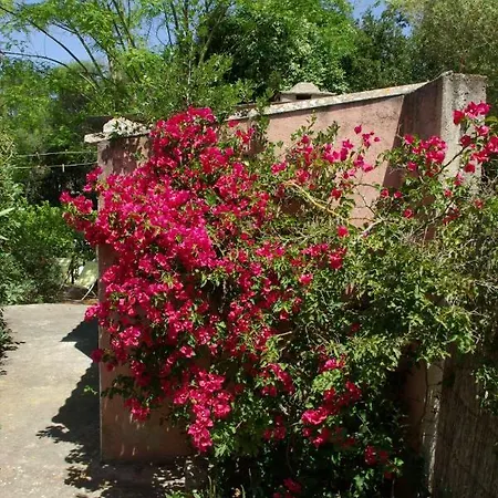Houpla Sol Hébergement de vacances Manacor (Mallorca)
