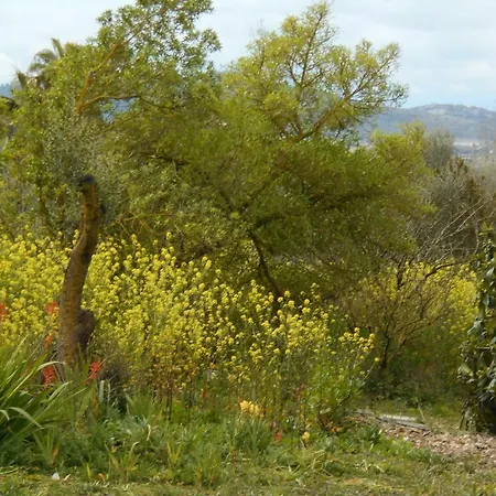 Houpla Sol Holiday home Manacor (Mallorca)